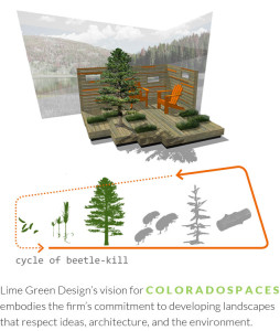 Lime Green Design's vision for ColoradoSpaces embodies the firm's commitment to developing landscapes that respect ideas, architecture, and the environment.
